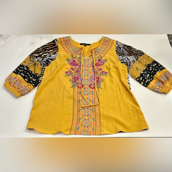 Tops - Caleaas Embroidered multicolor Boho tunic Top
